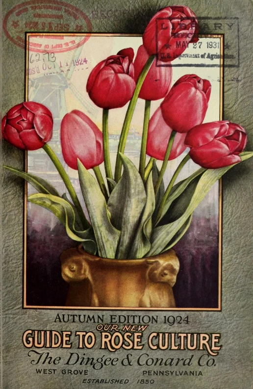 a vase with tulips is shown on the cover of an autumn edit