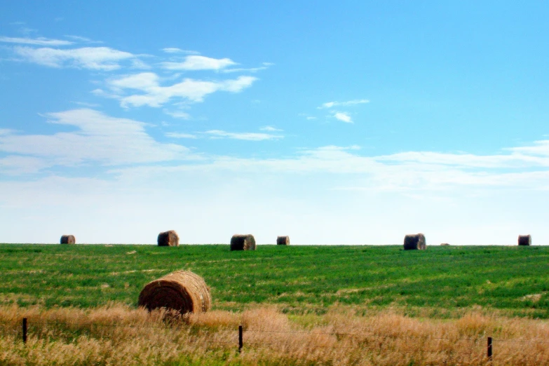 an empty grass field with a number of hay bales in the distance