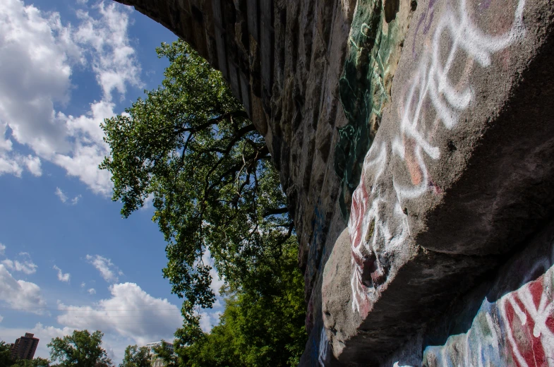 graffiti and trees are covering the walls of a bridge