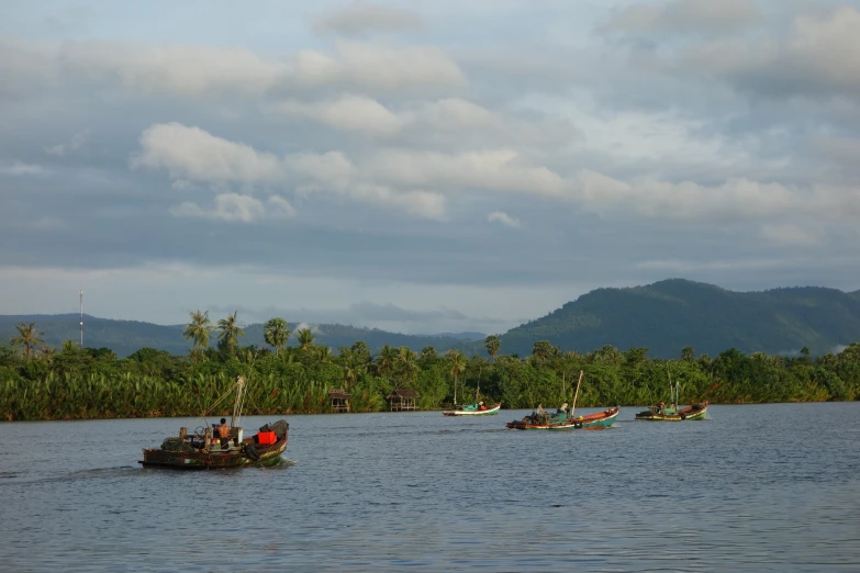 boats with people ride through the river next to trees