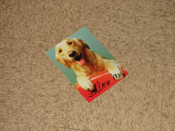 there is a dog picture on this magnet