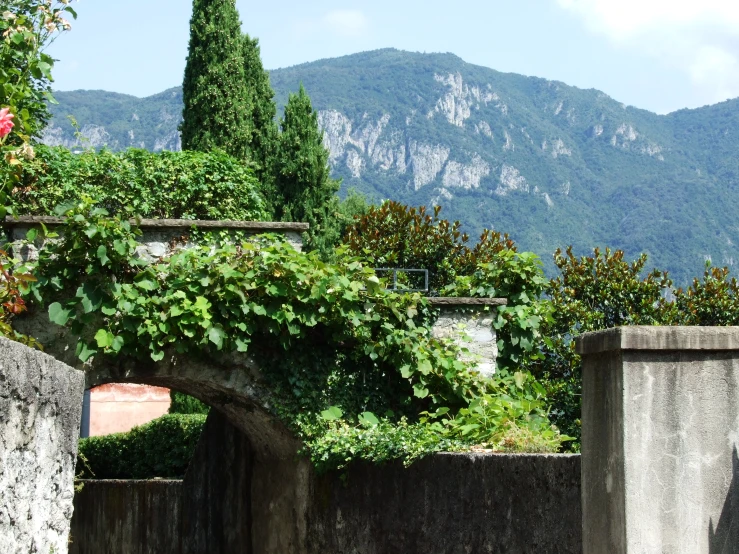 there are some bushes growing around the concrete buildings