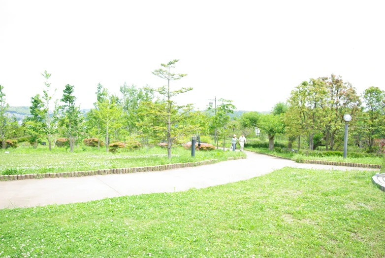 a path near a park with trees, grass and bushes