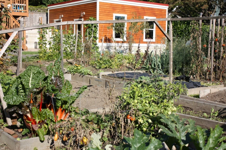 a vegetable garden surrounded by wooden fence and small house