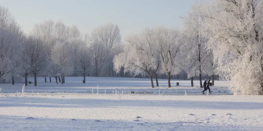 an open area in the snow with horses, trees and people