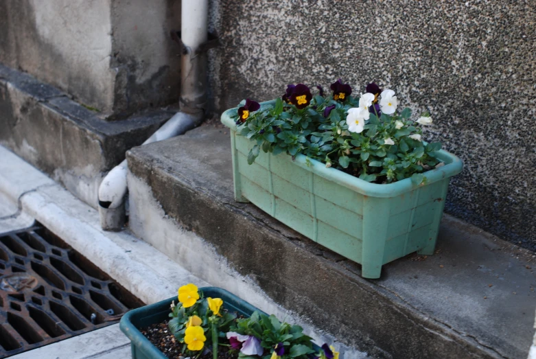 two large blue flower pots with flowers sit outside a building