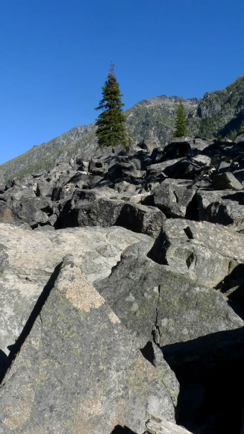 rocky mountain with tree standing at the top