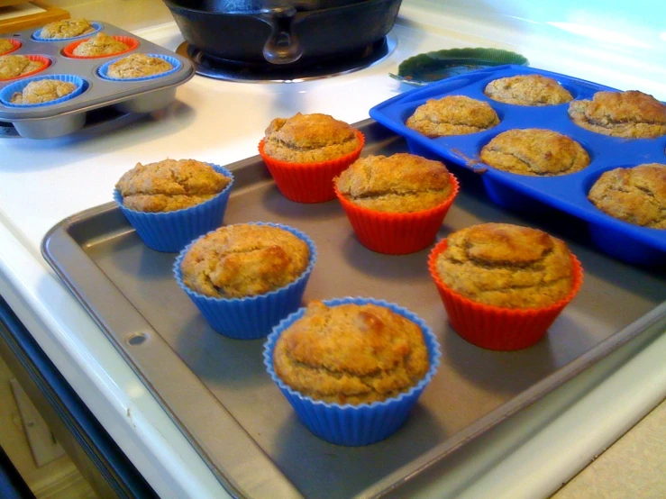 many muffins are sitting on a tray on the kitchen counter