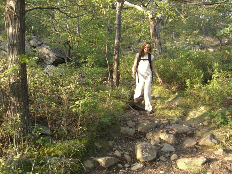 a man walks along a rocky trail in the woods