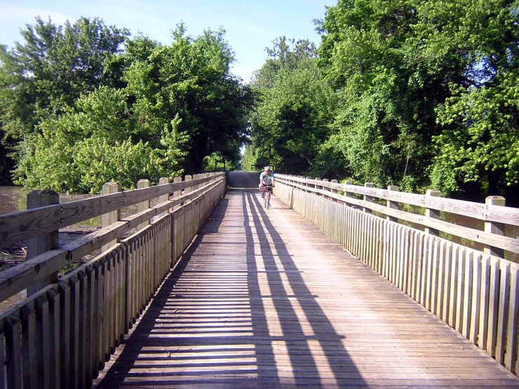 two people walking on a wooden bridge next to trees