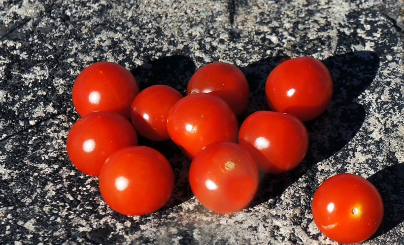 small red tomatoes sitting on top of some rocks