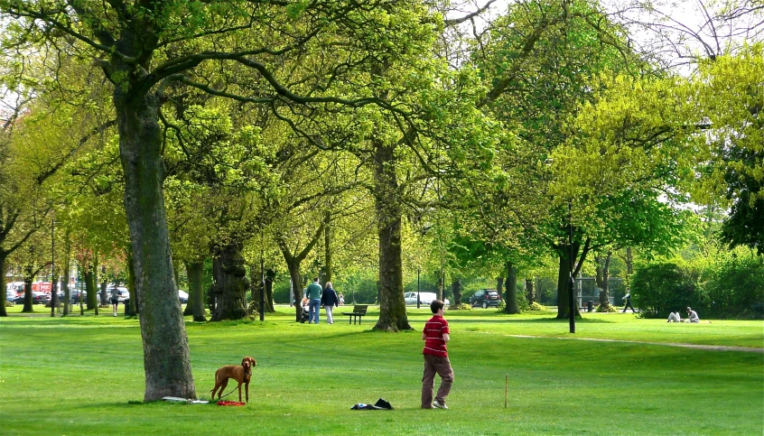 the person in the red jacket is standing by a brown dog