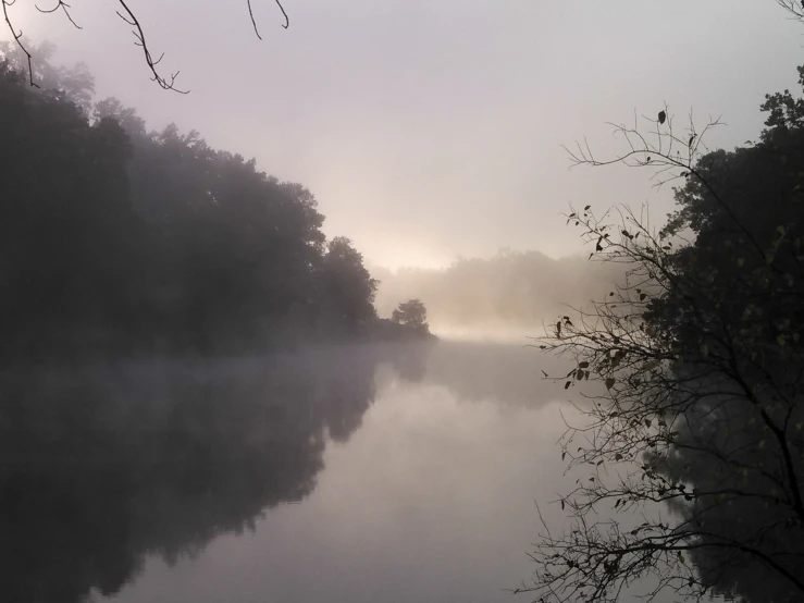 fog covering water and trees along the bank of a river
