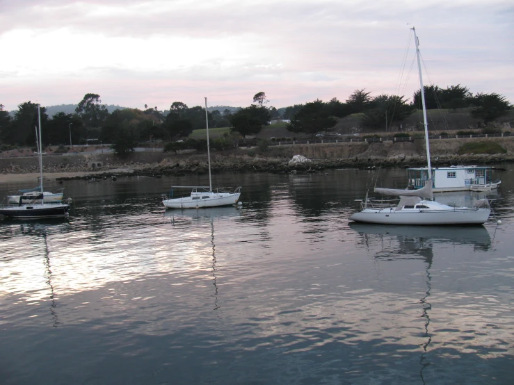 four boats are in the water near each other