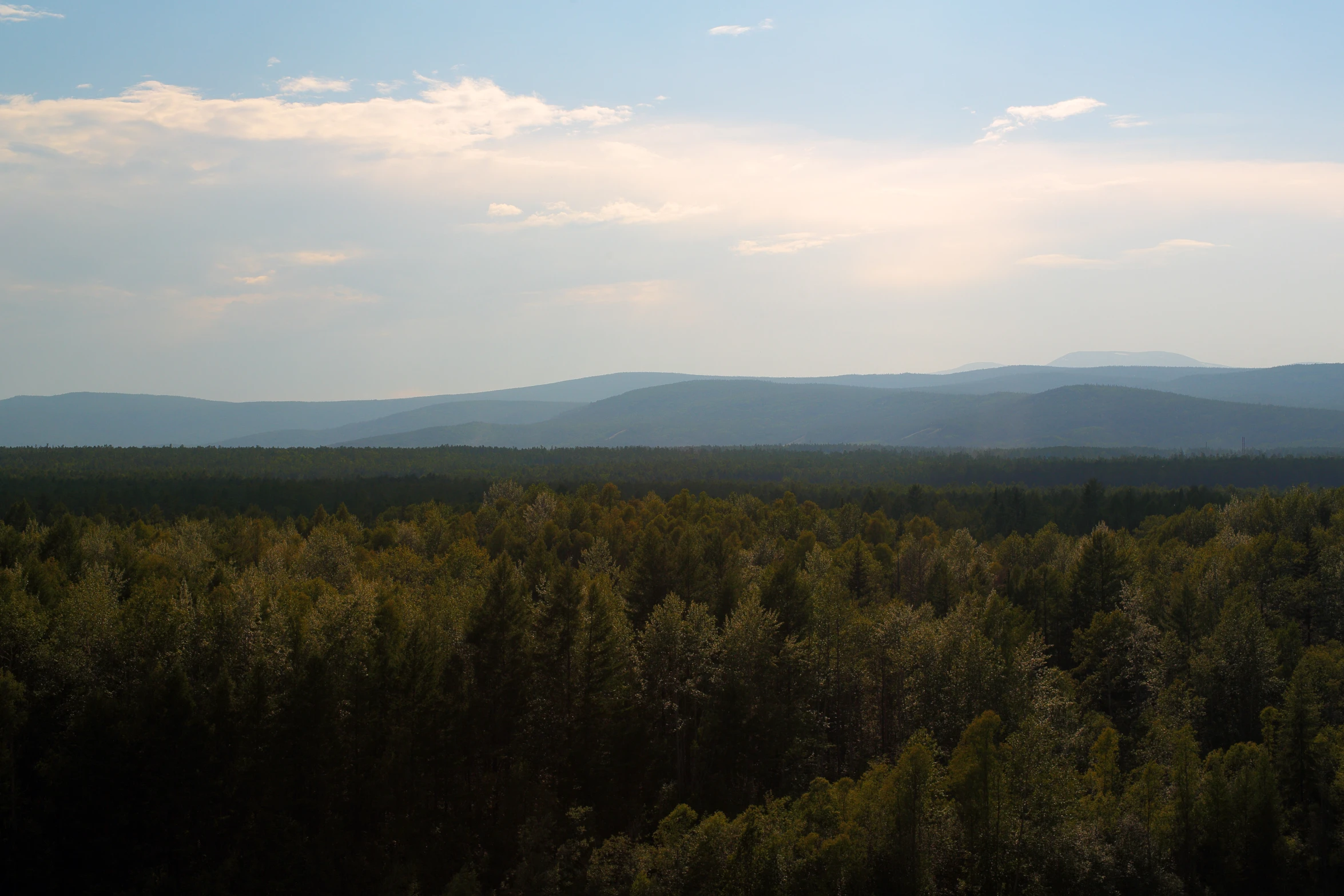 a field with trees and mountains in the distance