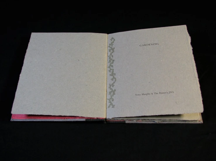 an open book with small leaves and white writing on it