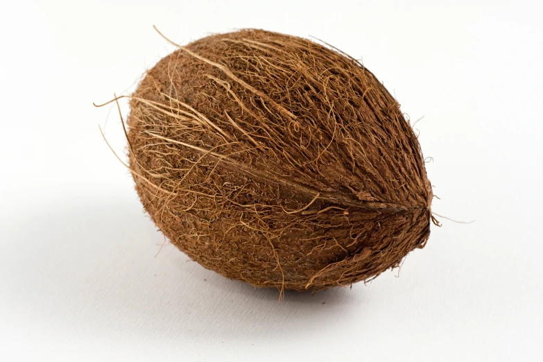 a coconut is shown with its roots exposed