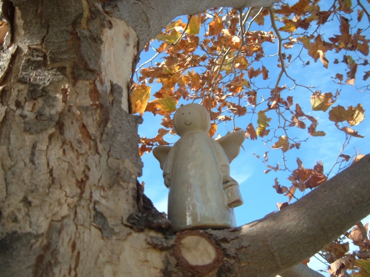 a little angel statue that is placed in a tree