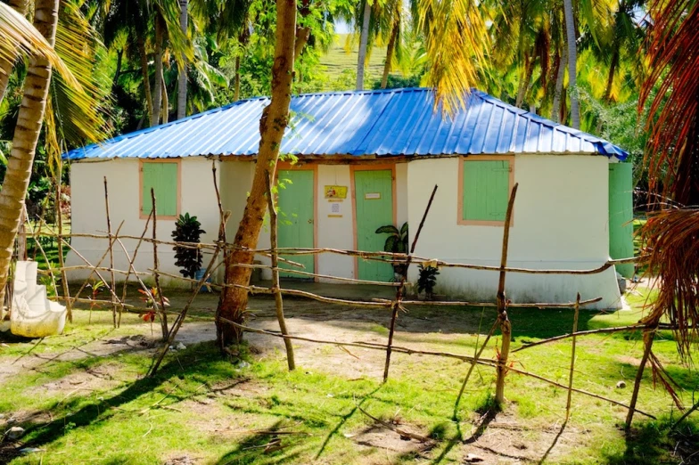 a white house surrounded by palm trees with blue roof