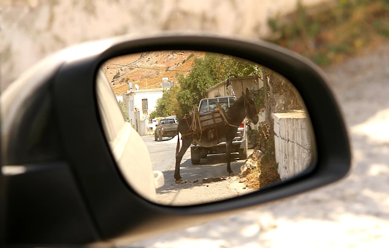 a side mirror of a car reflecting a horse