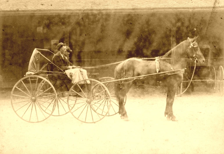 a man sitting on the back of a horse drawn carriage