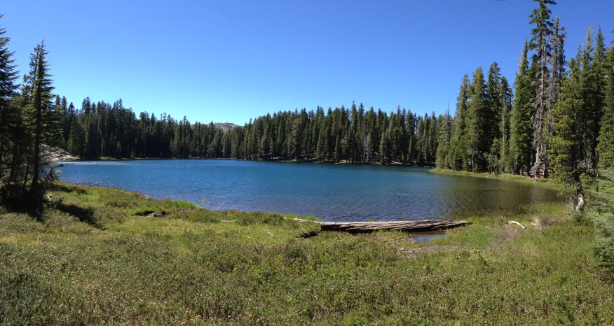 a small lake with grass and some trees