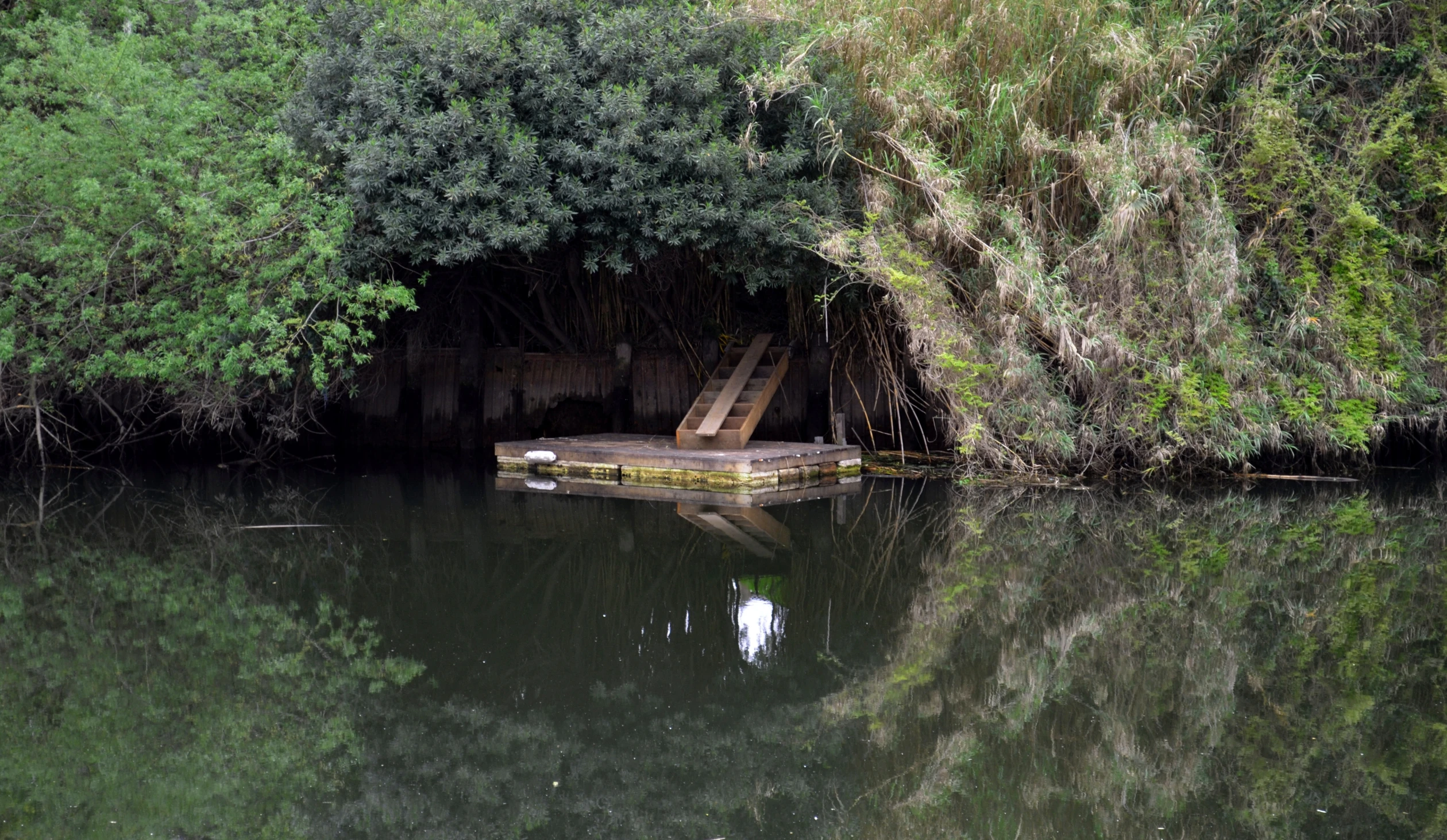 a couple of steps floating in a lake surrounded by trees