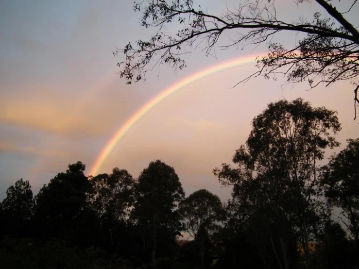 a rainbow shining over trees in the sky