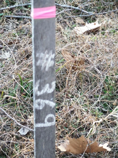 the top of a pole with writing that says, dear you