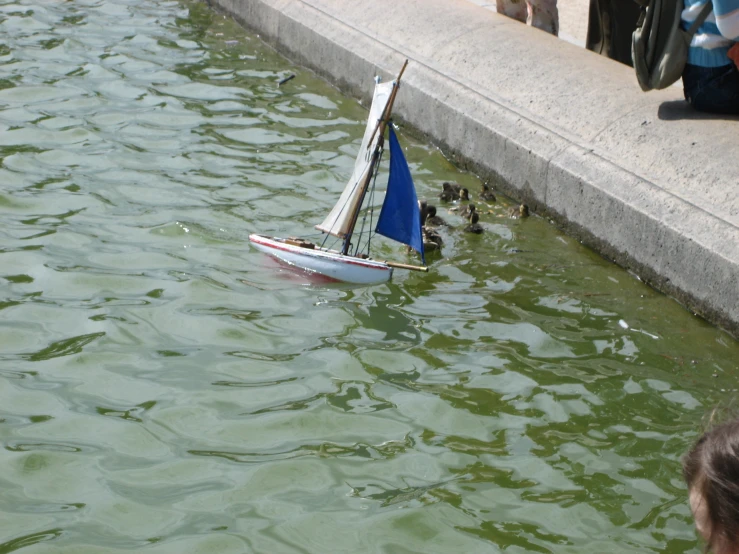 a child plays with a sailboat on the water