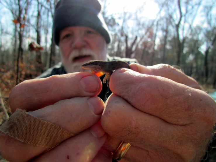 a man holds up a bird in the woods