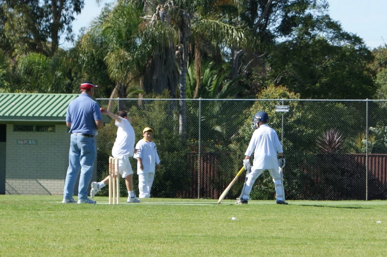 two men with baseball bats stand in the grass near another man holding a ball and a bat