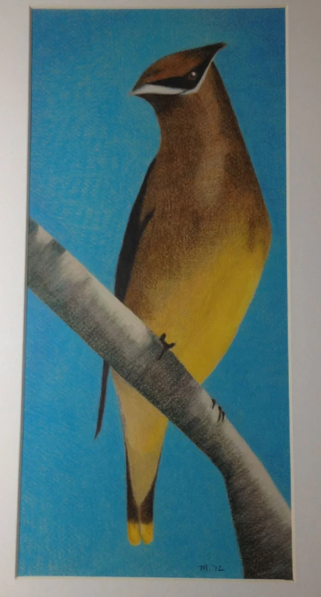 the picture of a bird sits on a nch