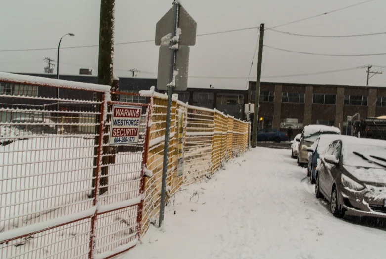 snowy sidewalk with parking lot and multiple cars in snow storm