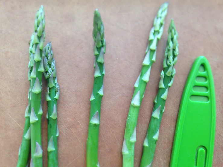 five green stalks of asparagus placed on a person's back