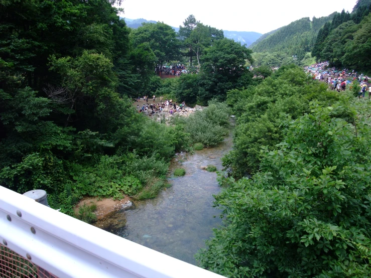 a river in the forest filled with lots of people