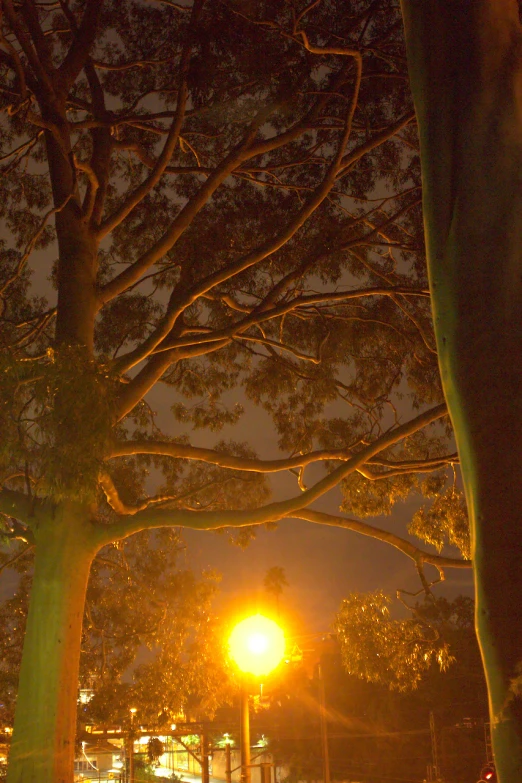 a city park on a winter evening with traffic