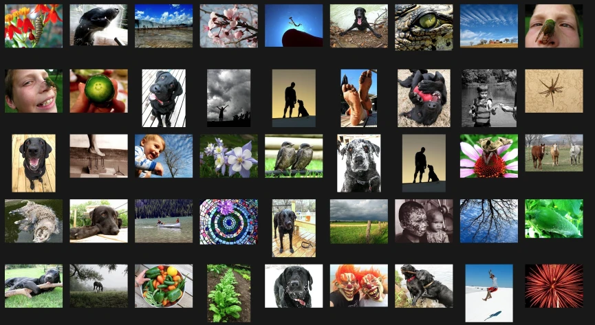 a grid of pictures that show images of people in different poses