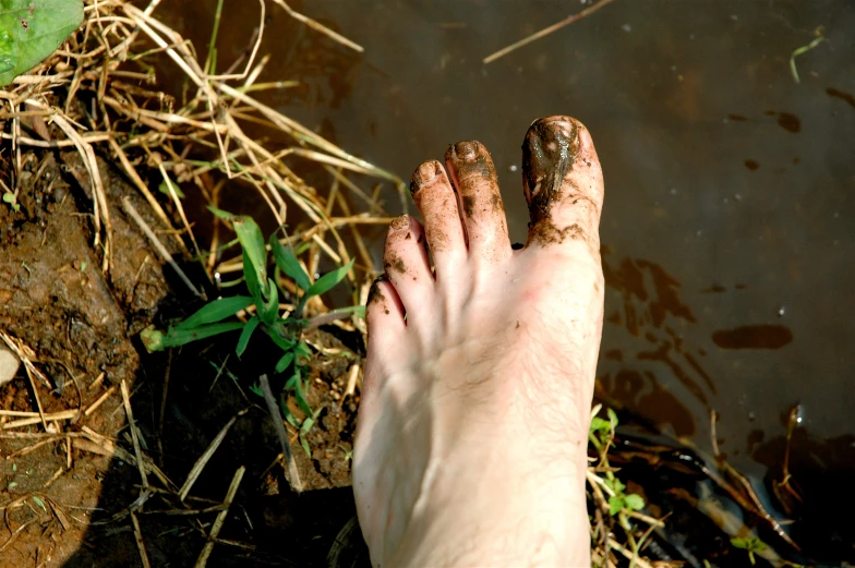 the bare feet of someone on the beach near the water