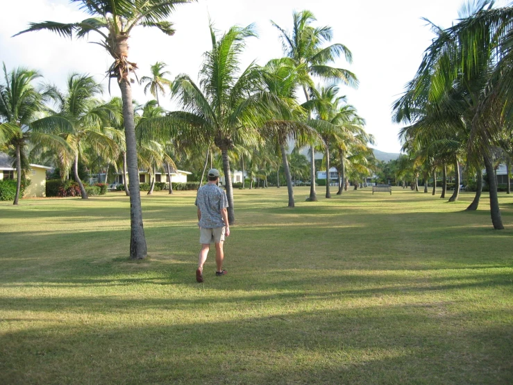a man walking through a lush green park