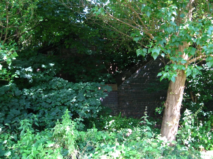 a brick fence and several trees in a park
