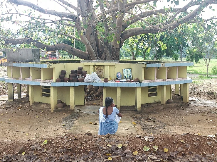 woman sitting on the ground and a big tree