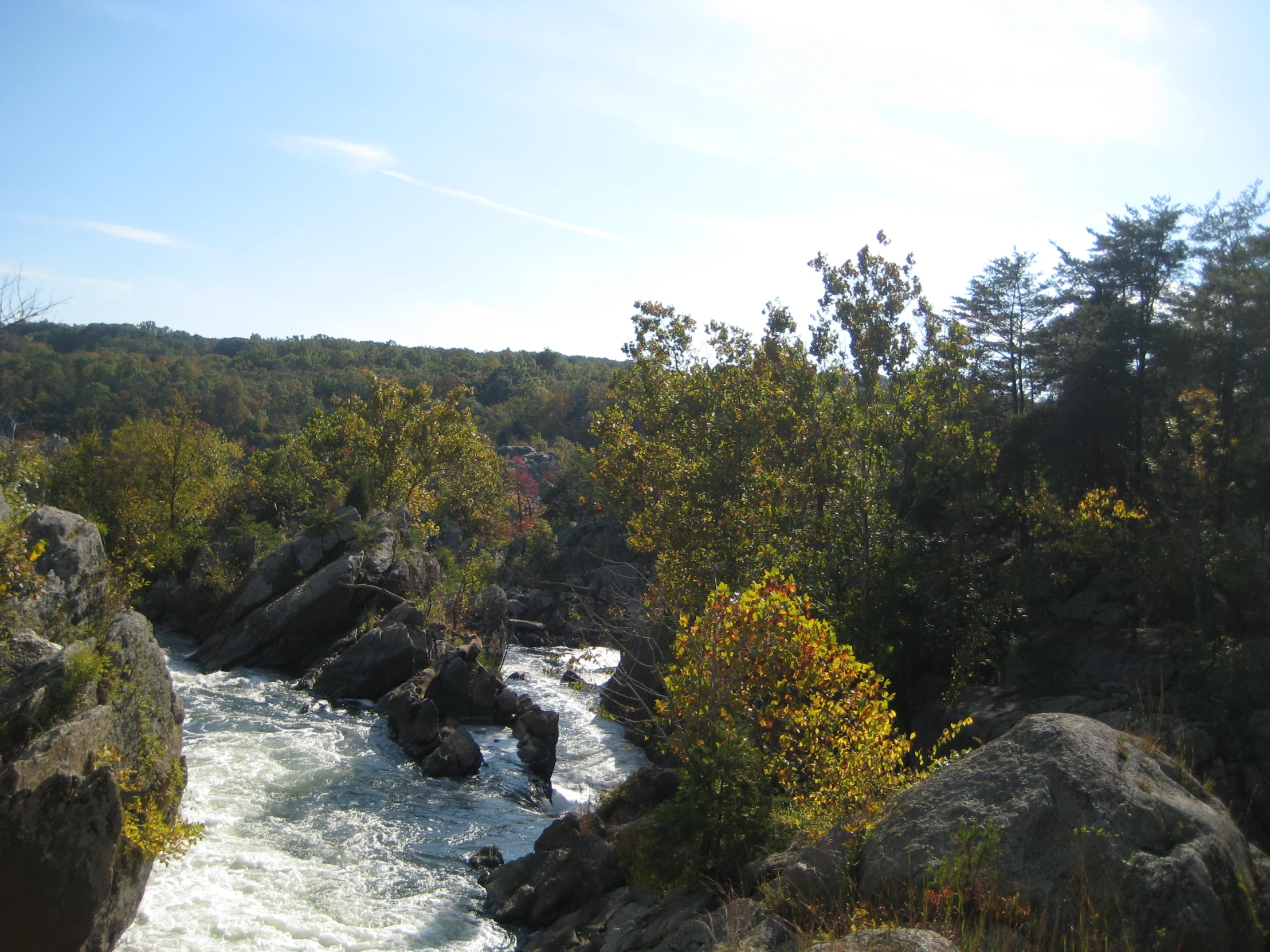 a view of some small rapids in a wooded area