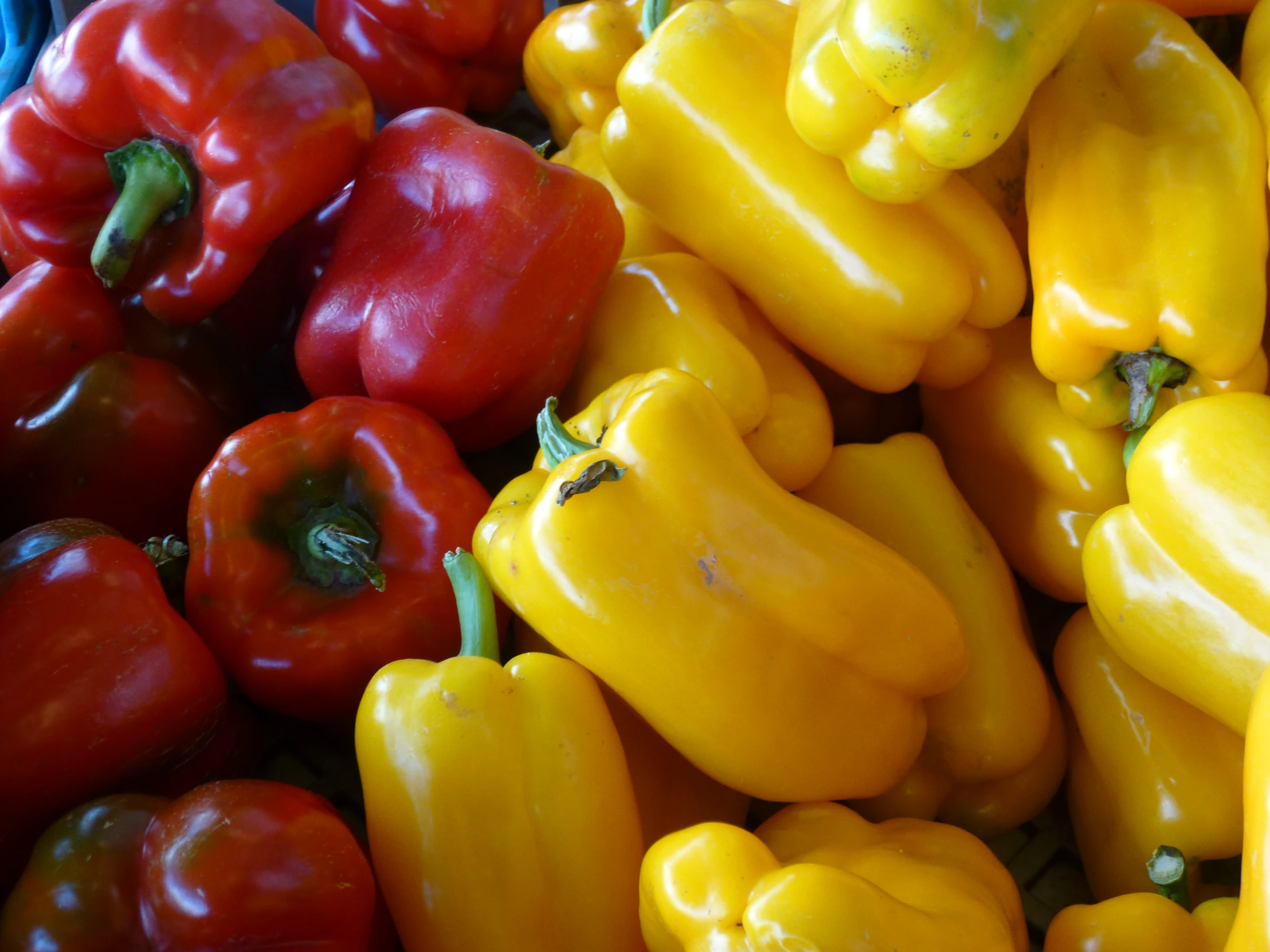 many different colored peppers in a pile