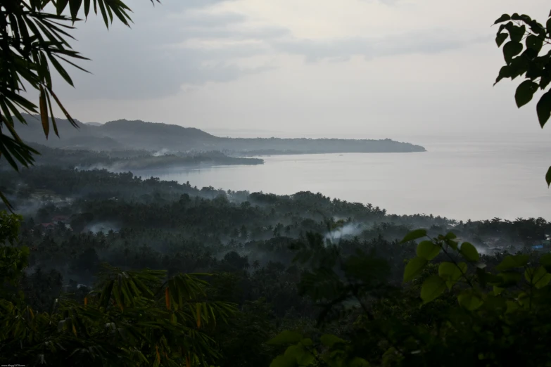 a misty view over trees and mountains to the lake