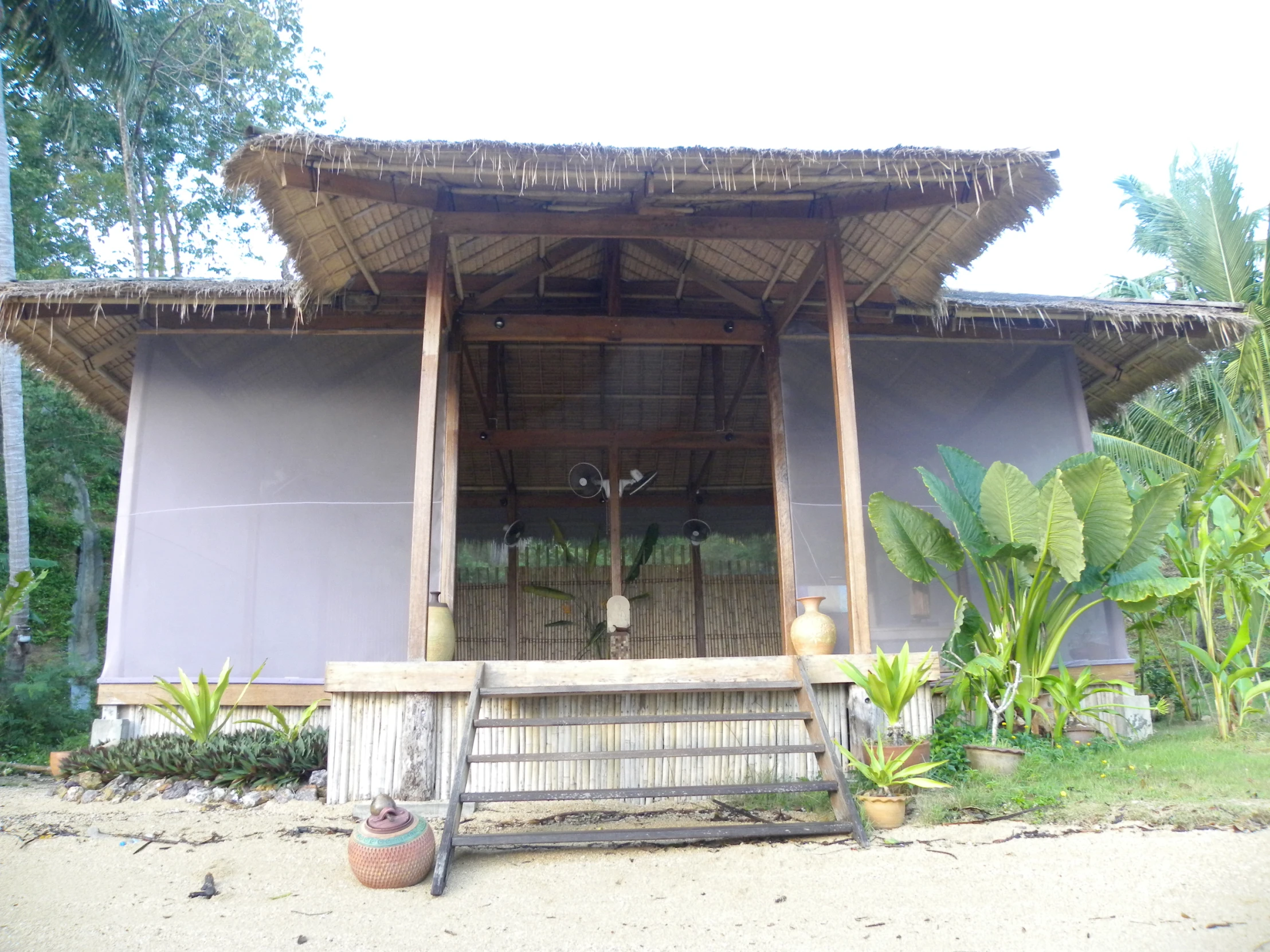 a small hut with some plants around the perimeter