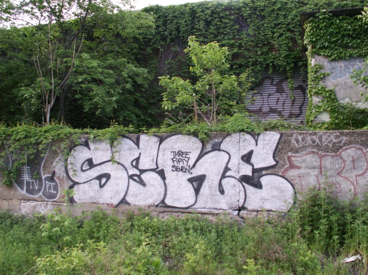 a group of graffiti writing on a wall by some trees