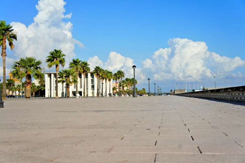 an empty square with palm trees surrounding