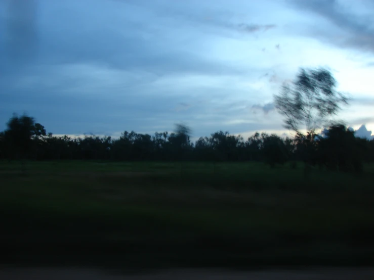 the view from a vehicle window of a wooded area