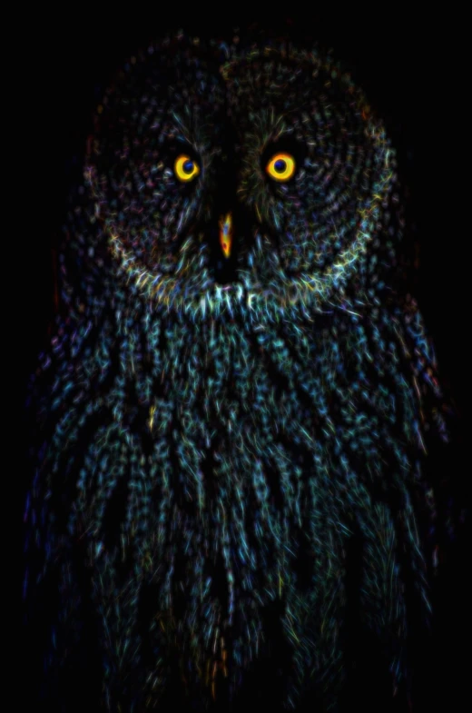 a blue and black owl is in the night